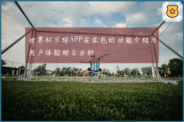 世界杯买球APP安装包的功能介绍与用户体验综合分析