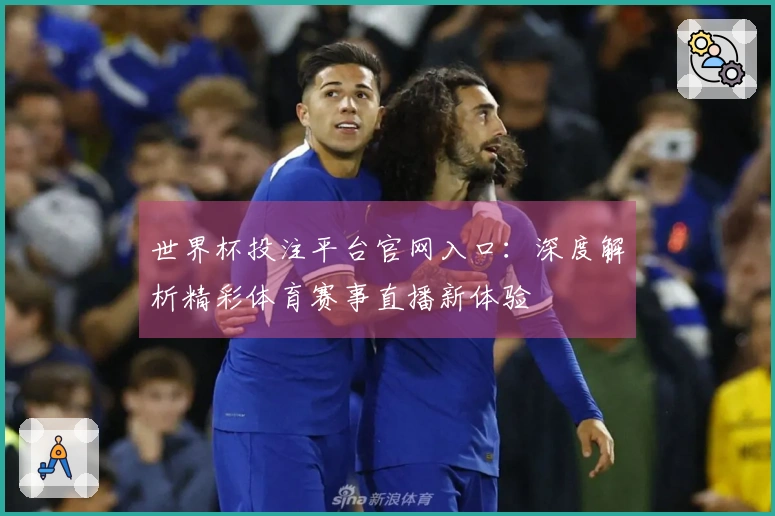 世界杯投注平台官网入口:深度解析精彩体育赛事直播新体验
