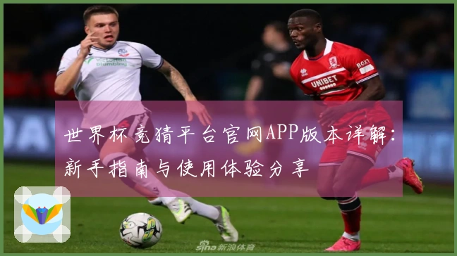 世界杯竞猜平台官网APP版本详解：新手指南与使用体验分享