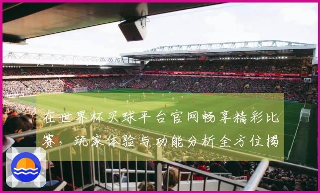 在世界杯买球平台官网畅享精彩比赛，玩家体验与功能分析全方位揭秘