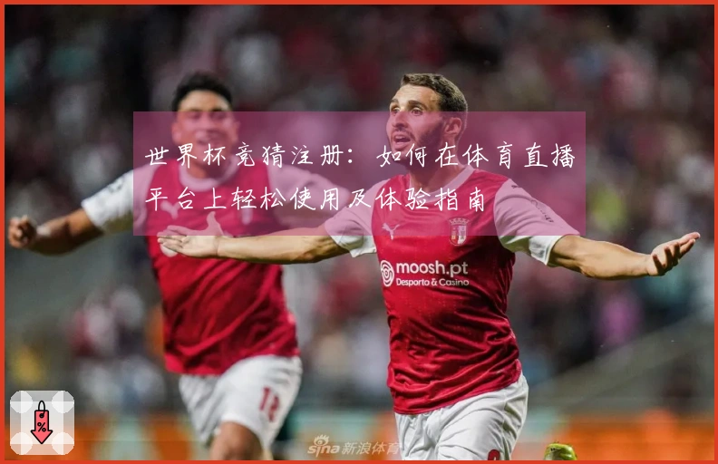 世界杯竞猜注册:如何在体育直播平台上轻松使用及体验指南