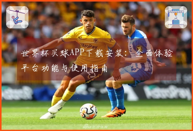 世界杯买球APP下载安装：全面体验平台功能与使用指南