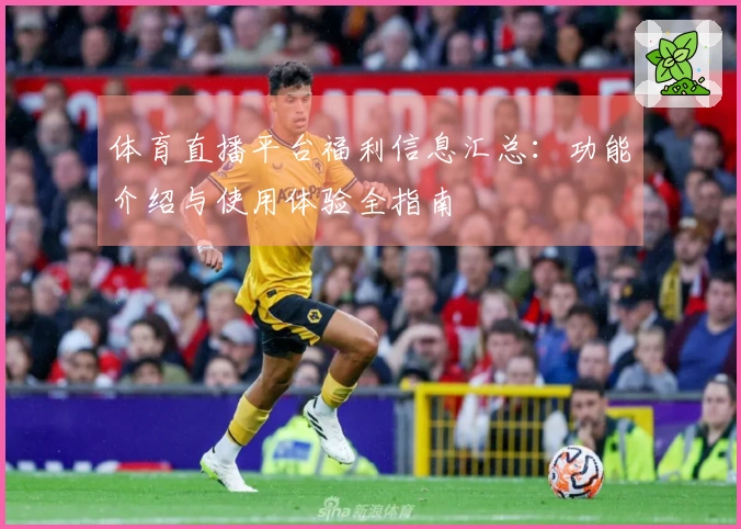 体育直播平台福利信息汇总：功能介绍与使用体验全指南