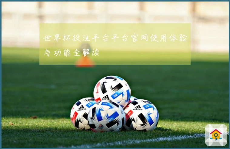 世界杯投注平台平台官网使用体验与功能全解读