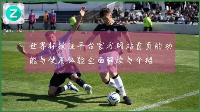 世界杯投注平台官方网站首页的功能与使用体验全面解读与介绍